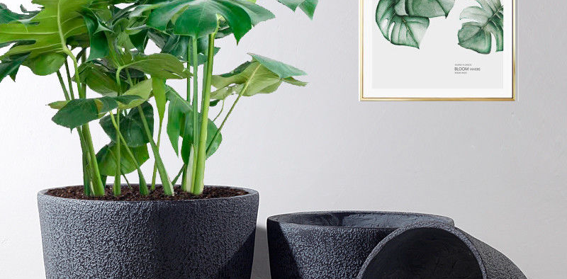 b79c5c367a01fb40884104a7b6ffe9e